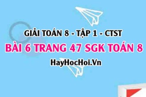 Giải bài 6 trang 47 Toán 8 Tập 1 SGK Chân trời sáng tạo